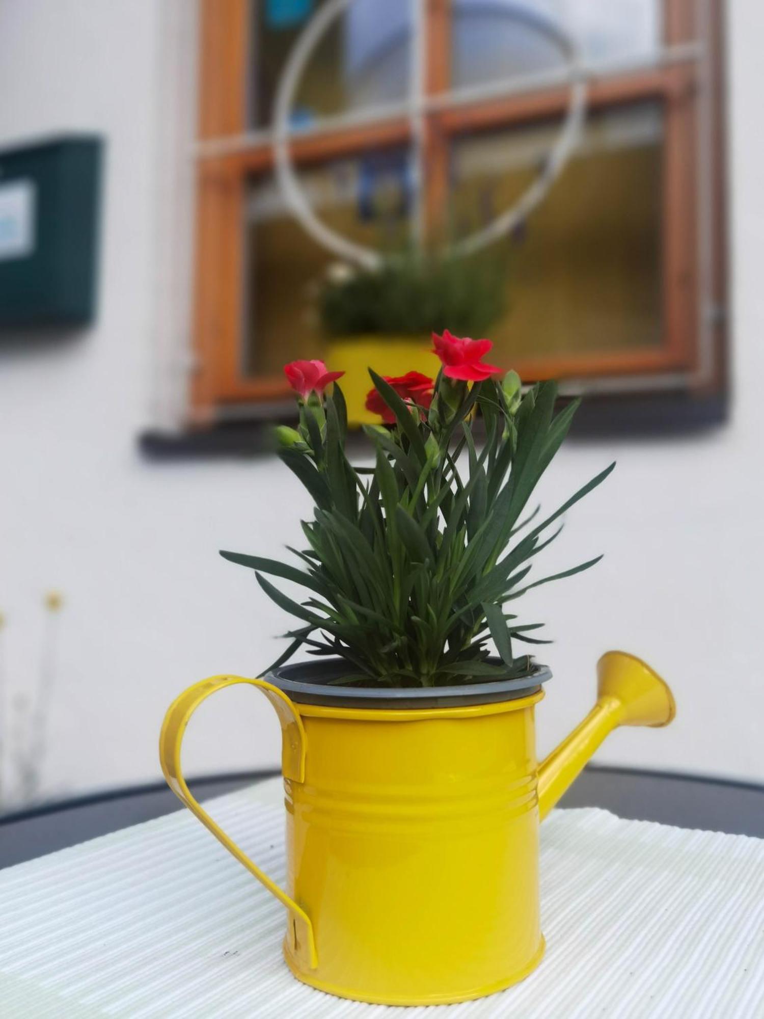 Hotel Landhaus Zell Am See Luaran gambar